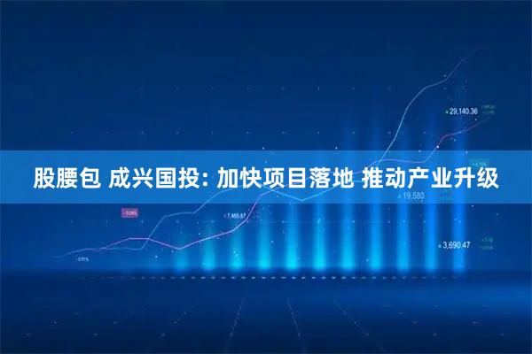 股腰包 成兴国投: 加快项目落地 推动产业升级