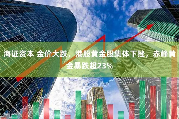 海证资本 金价大跌，港股黄金股集体下挫，赤峰黄金暴跌超23%